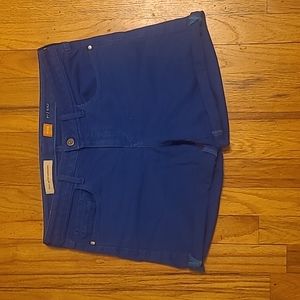 Anthropologie Pilcro and the letterpress Size 29 Shorts